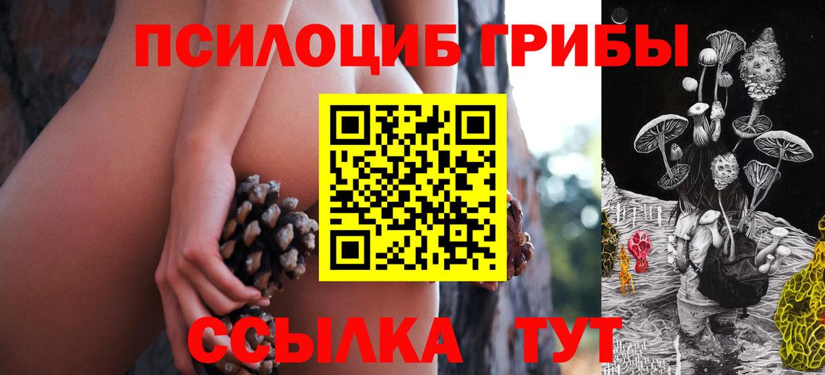 Галлюциногенные грибы мухоморы  Псилоцибиновые грибы ЛСД  Кулебаки  Вход с VPN 